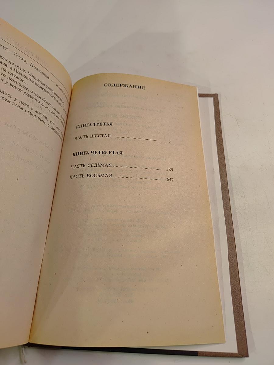 Тихий Дон. Книги 3 и 4