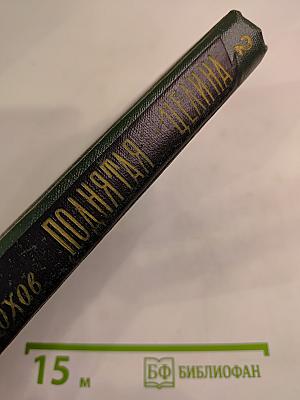 Поднятая целина. Книга II