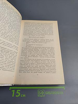 Беглые в Новороссии. Воля. Княжна Тараканова