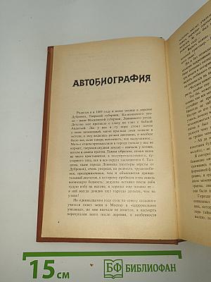 Чертухинский балакирь