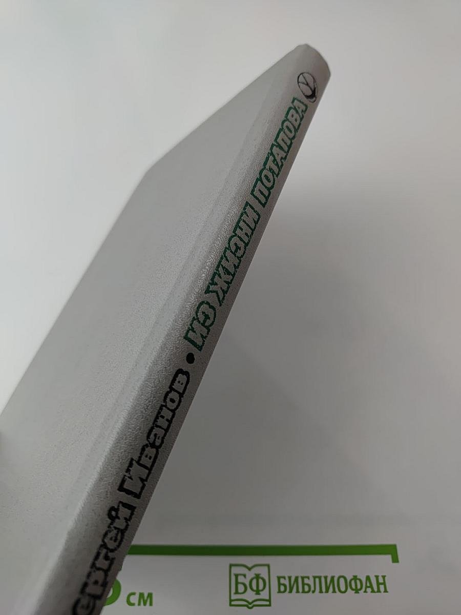 Из жизни Потапова