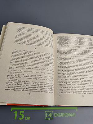 Полпреды России