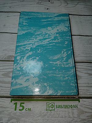 Одиссея капитана Блада. Хроника капитана Блада