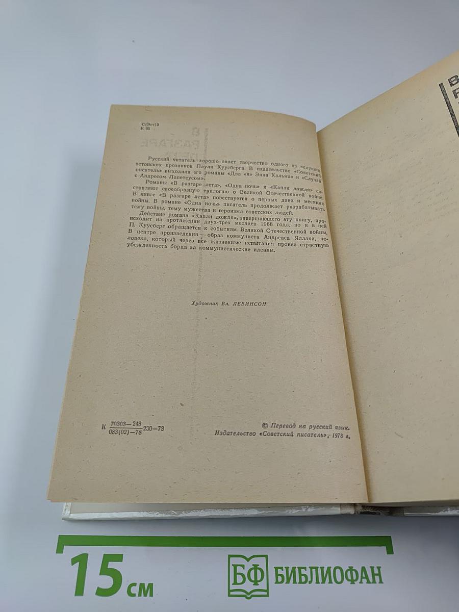 В разгаре лета. Одна ночь. Капли дождя