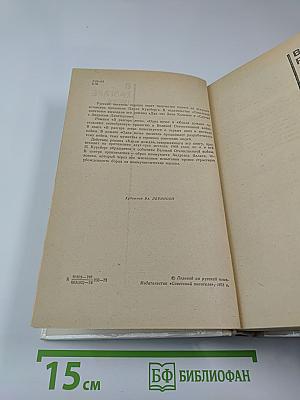 В разгаре лета. Одна ночь. Капли дождя