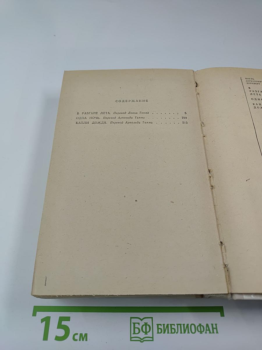 В разгаре лета. Одна ночь. Капли дождя