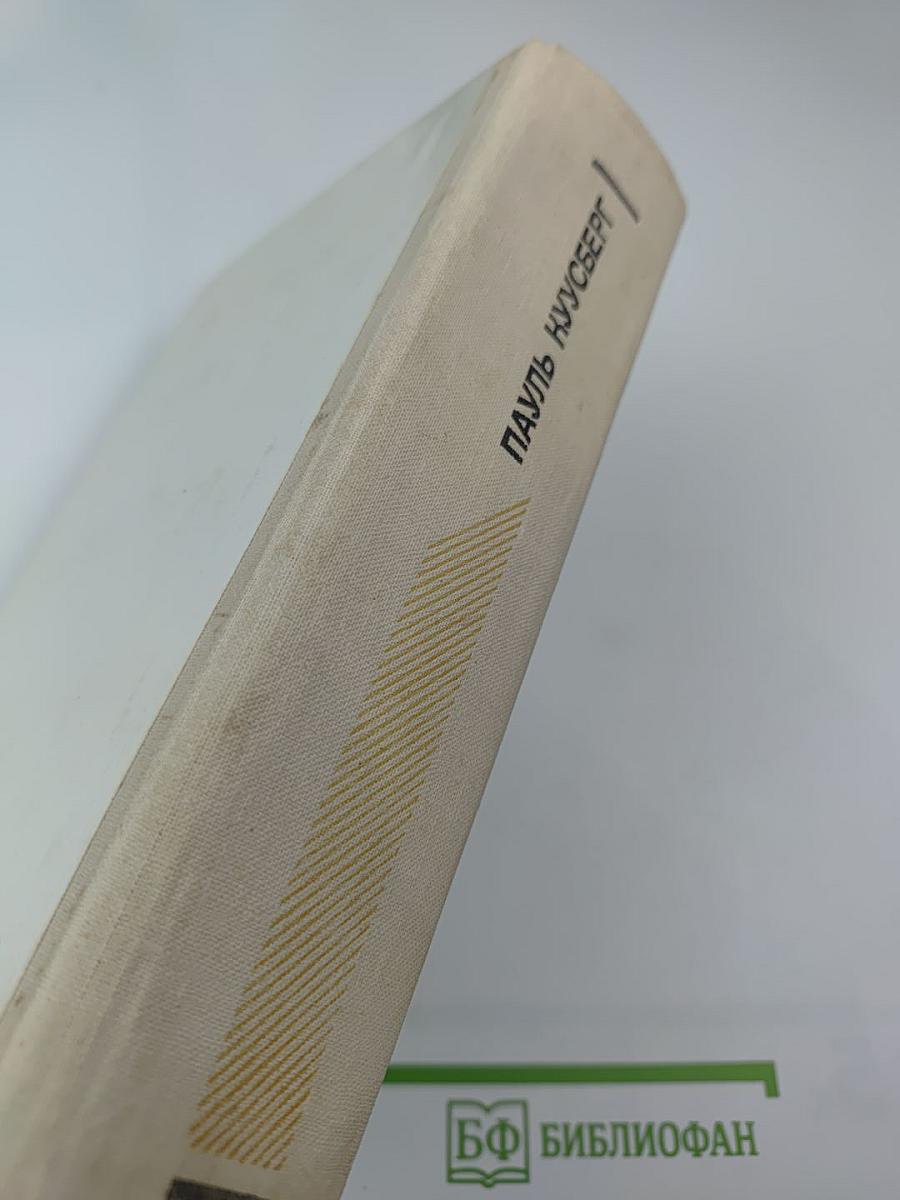 В разгаре лета. Одна ночь. Капли дождя