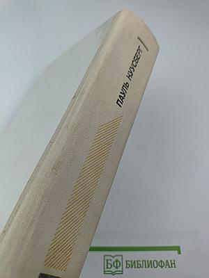 В разгаре лета. Одна ночь. Капли дождя