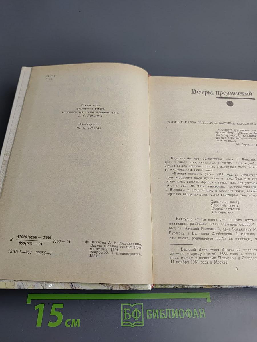 Степан Разин. Пушкин и Дантес. Кафе поэтов