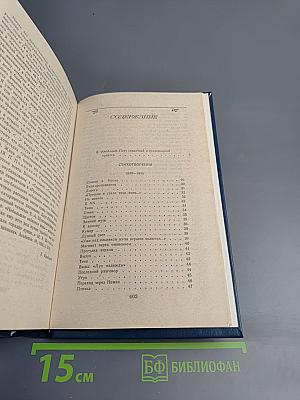 Я.П. Полонский. Лирика. Проза