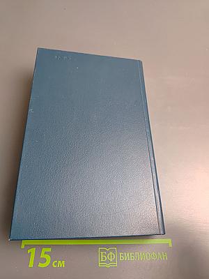 Я.П. Полонский. Лирика. Проза