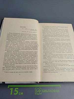 Арена. Политический детектив