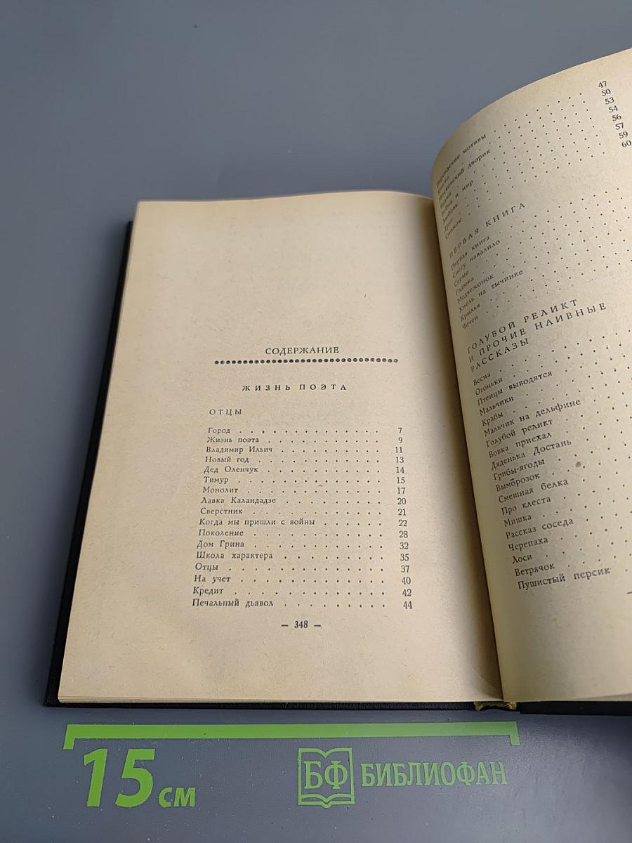 Жизнь поэта