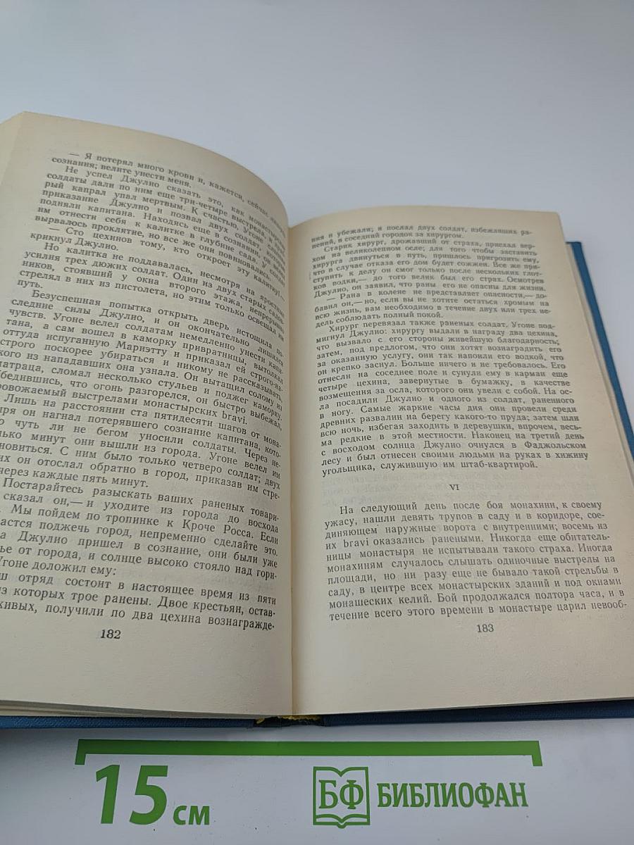 Итальянские хроники. Жизнь Наполеона