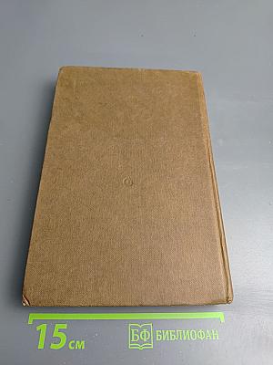 Соломежская сторожка (Две связки писем)