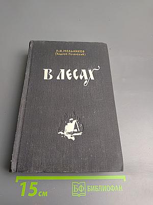 В лесах. Книга первая