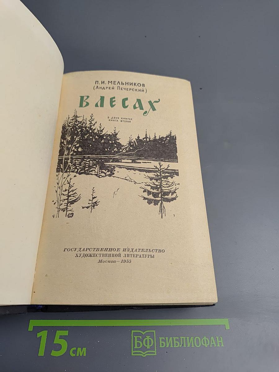 В лесах. Книга первая