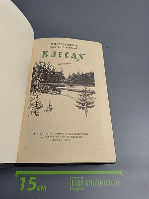 В лесах. Книга первая