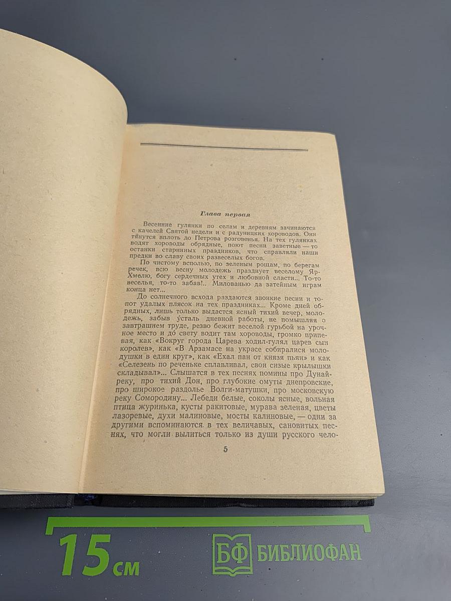 В лесах. Книга первая