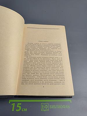 В лесах. Книга первая