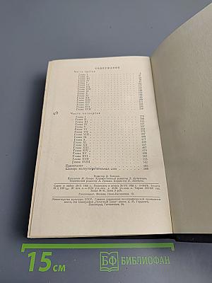 В лесах. Книга первая