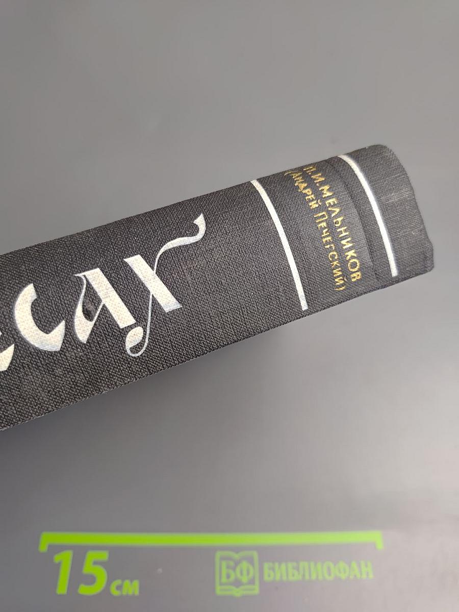 В лесах. Книга первая