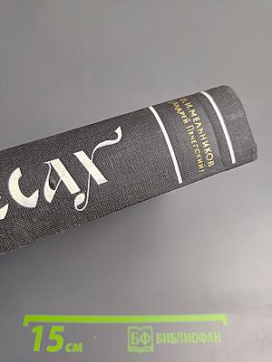 В лесах. Книга первая