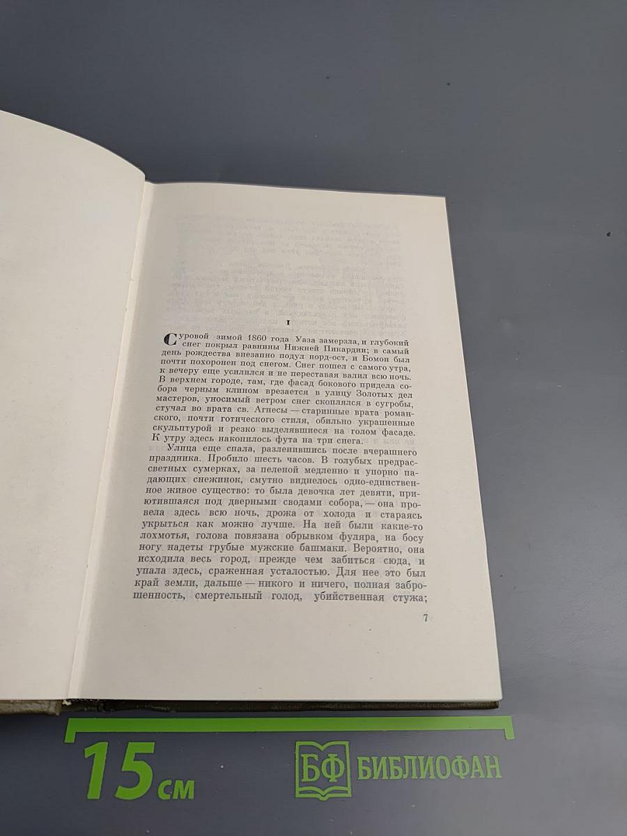 Собрание сочинений. Том тринадцатый. Ругон-Маккары: Мечта, Человек-зверь