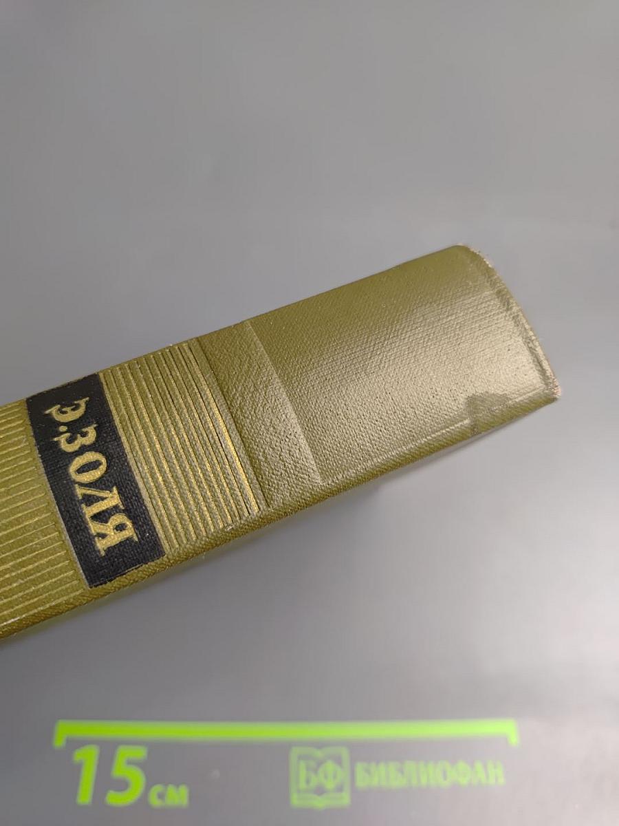 Собрание сочинений. Том тринадцатый. Ругон-Маккары: Мечта, Человек-зверь