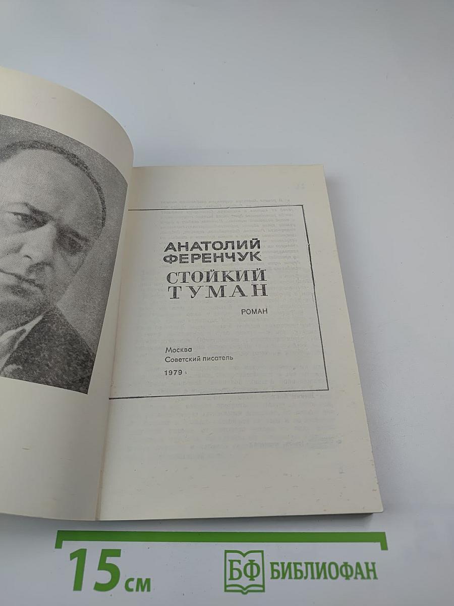 Стойкий Туман