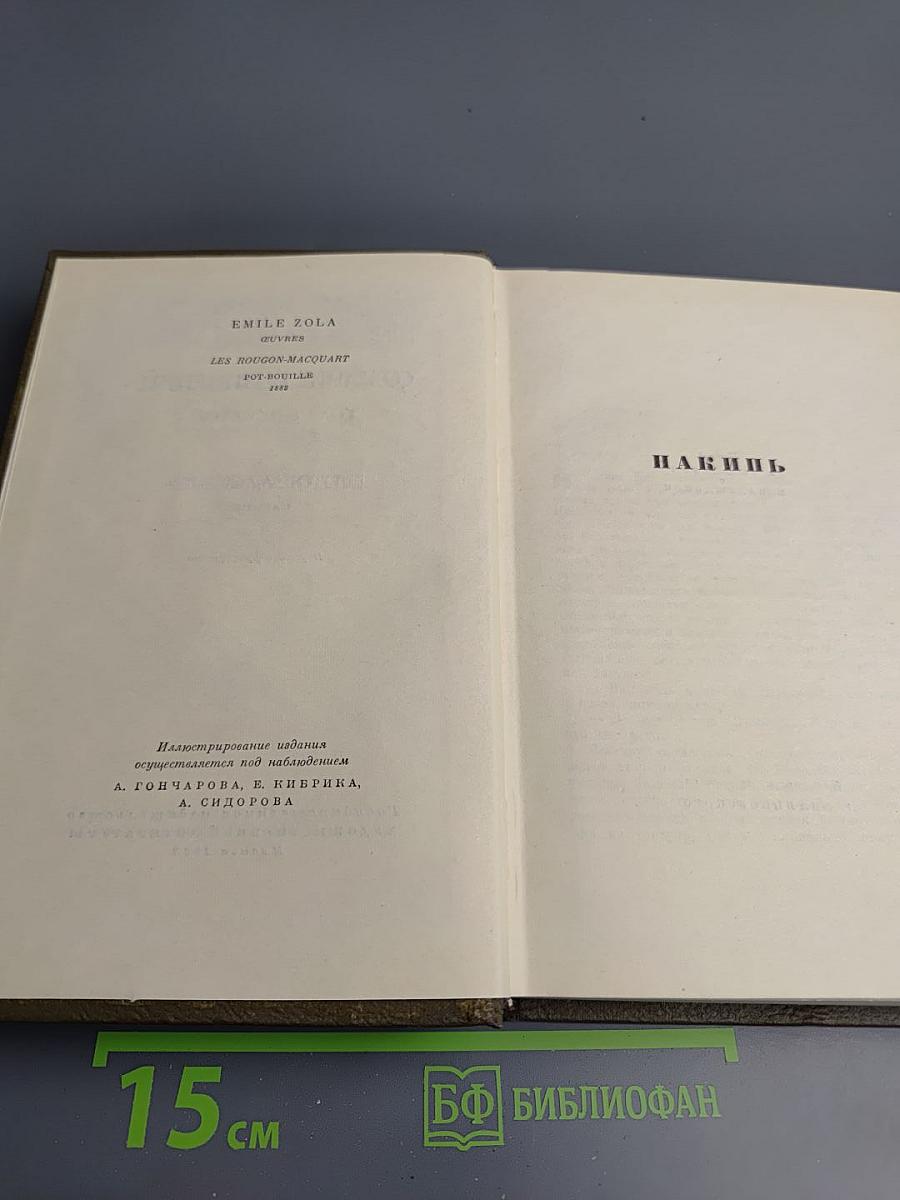 Собрание сочинений. Том восьмой. Накинь.