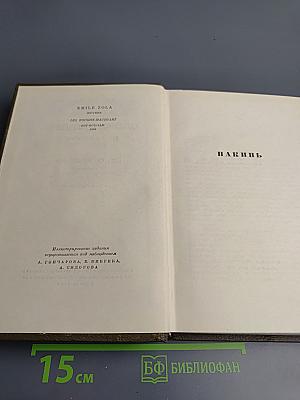 Собрание сочинений. Том восьмой. Накинь.