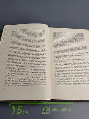 Собрание сочинений. Том восьмой. Накинь.