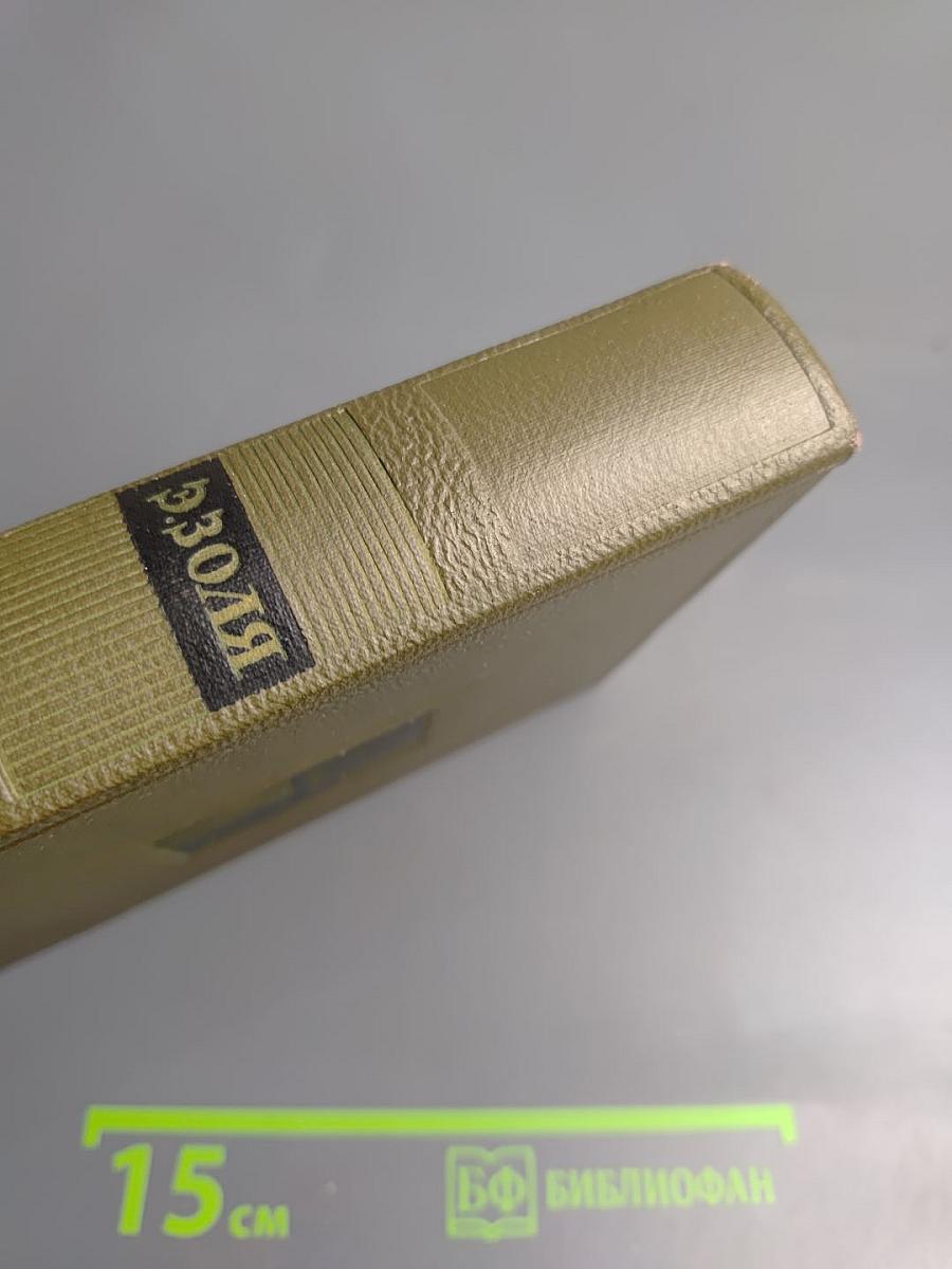 Собрание сочинений. Том восьмой. Накинь.