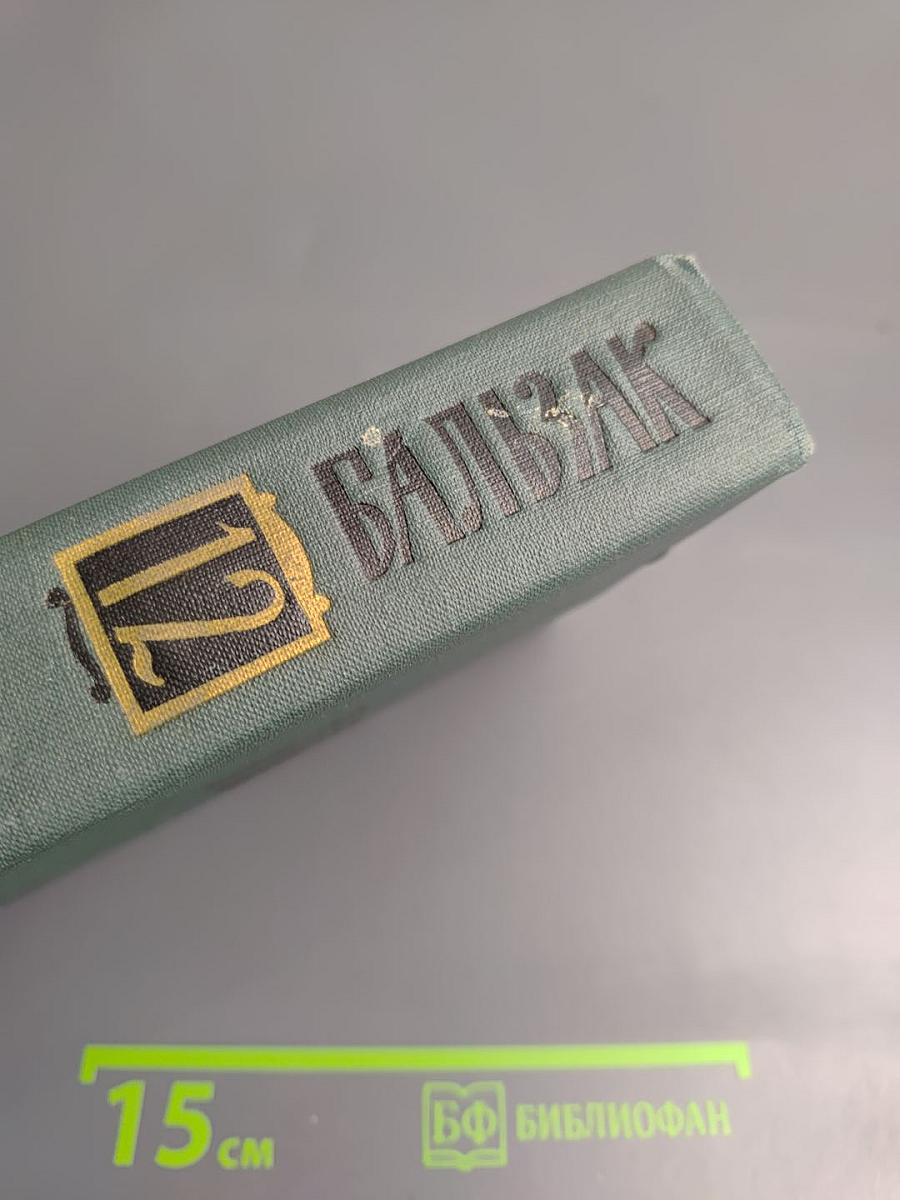 Собрание сочинений в 24 томах. Том 12. Человеческая комедия