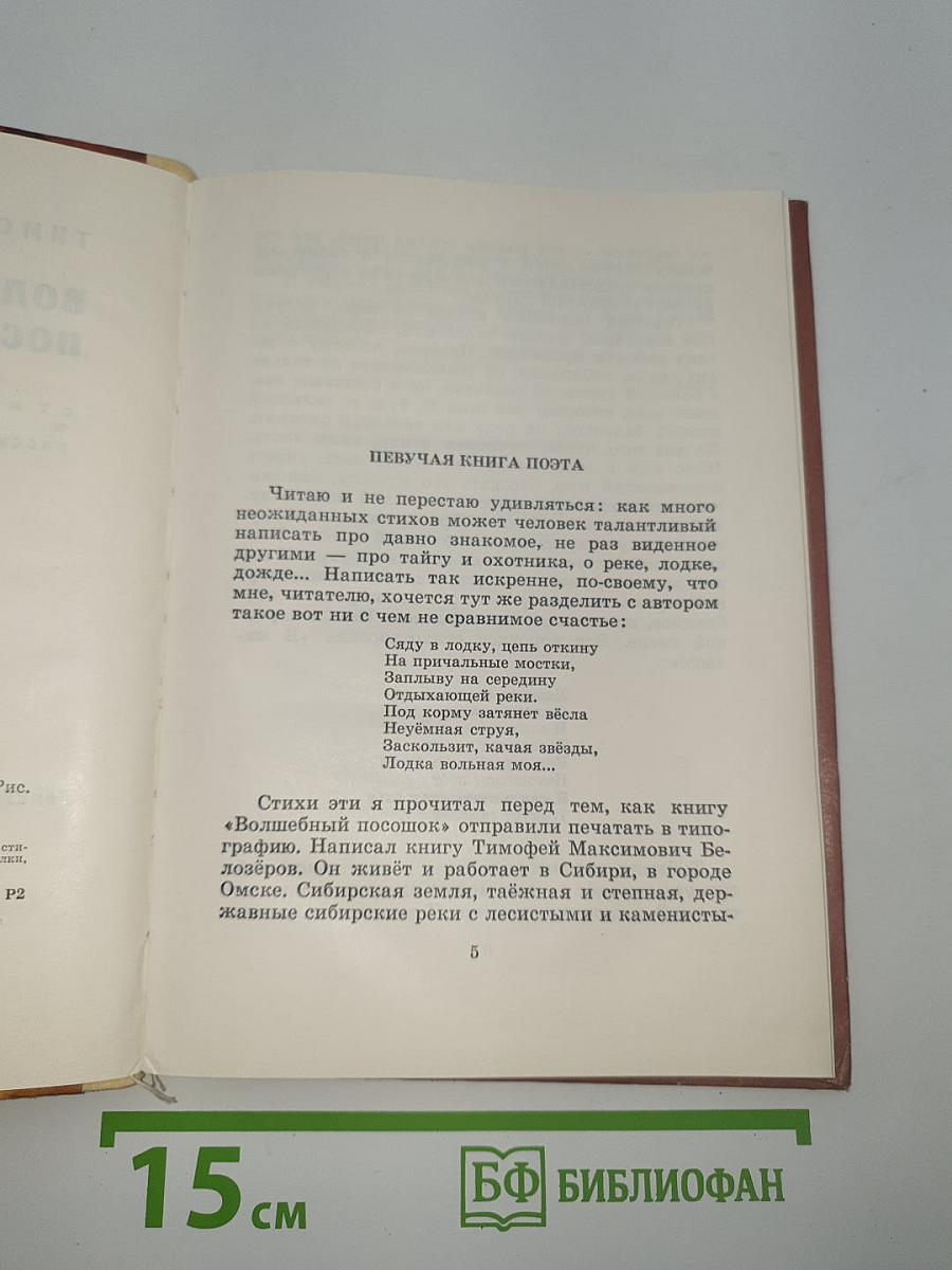 Волшебный посошок