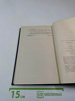 Ледяной дом