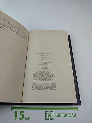 Ледяной дом