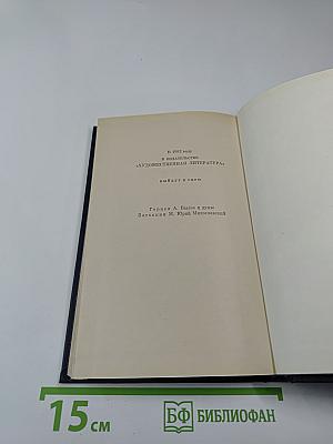 Ледяной дом