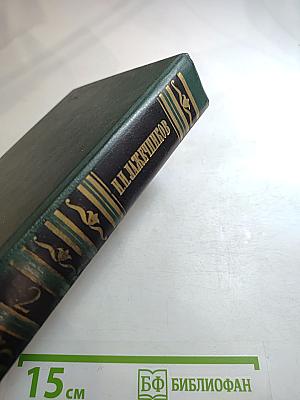 Сочинения. Том второй: Ледяной дом; Басурман