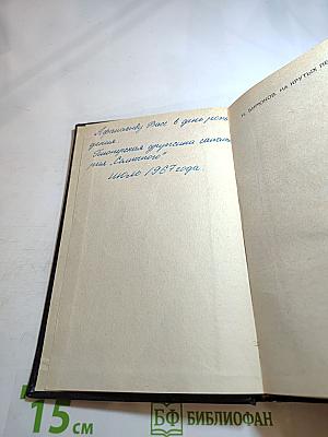 На крутых перевалах. Книга VI. Чайка