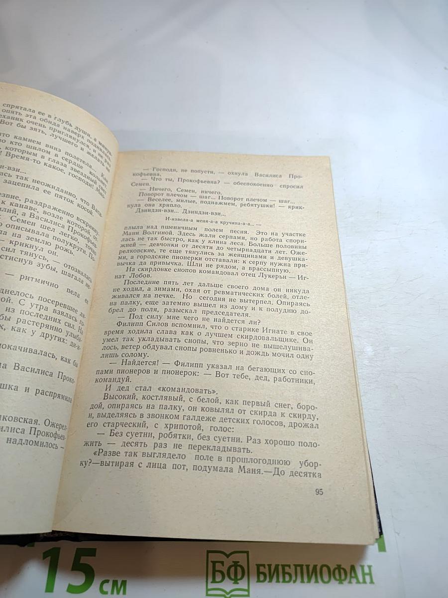 На крутых перевалах. Книга VI. Чайка