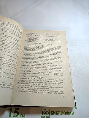 На крутых перевалах. Книга VI. Чайка