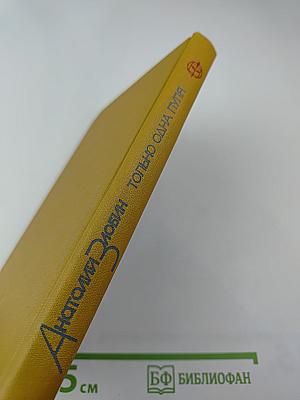 Только одна пуля