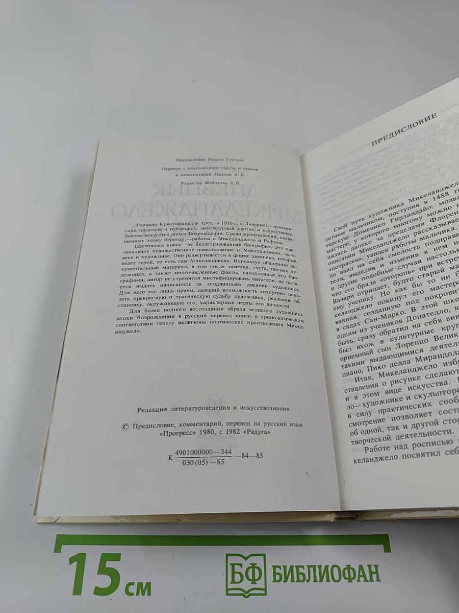 Дневник Микеланджело Неистового