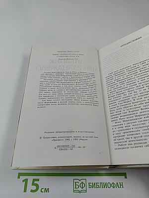 Дневник Микеланджело Неистового