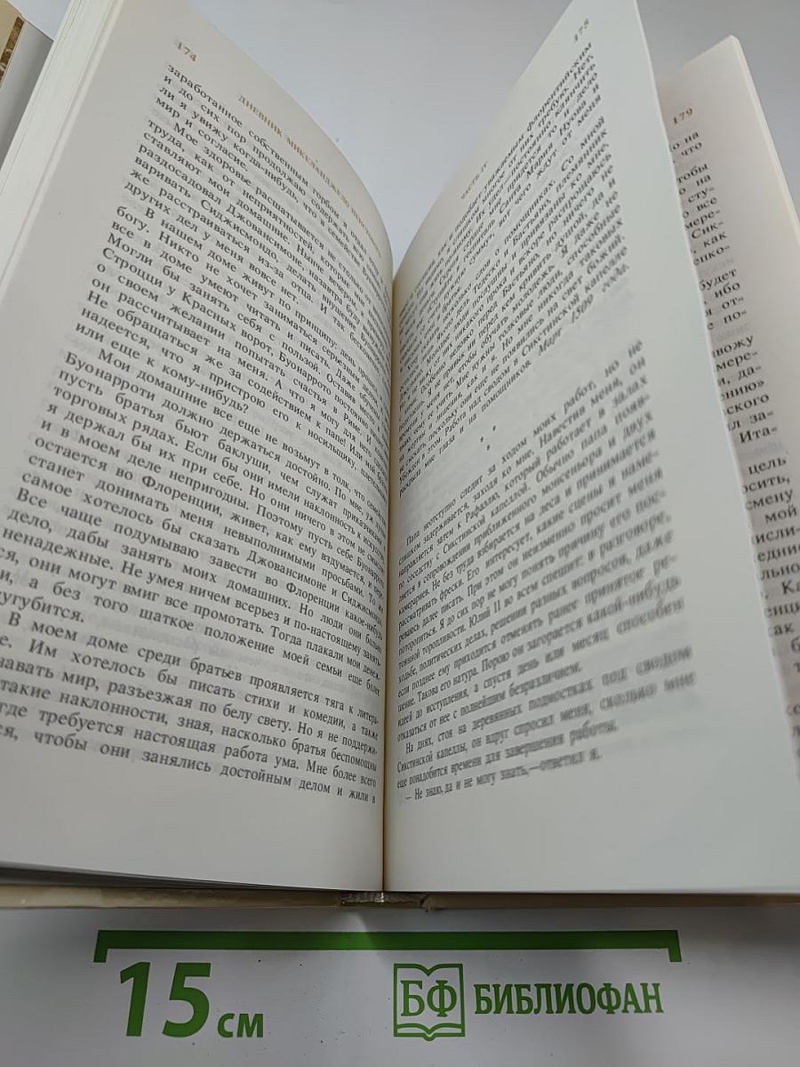 Дневник Микеланджело Неистового