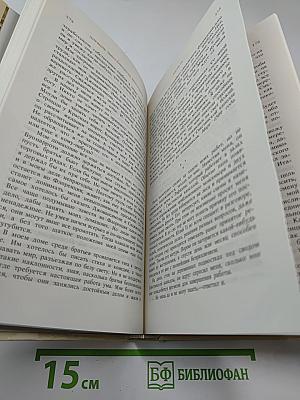 Дневник Микеланджело Неистового