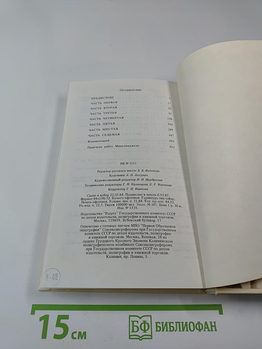 Дневник Микеланджело Неистового