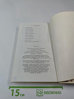 Дневник Микеланджело Неистового